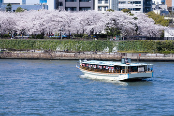 春の隅田川