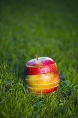Plastry jabłka na trawie