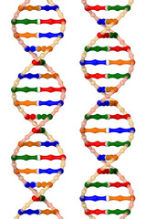 DNA helixes (isolated on a white background)