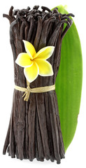 botte de vanille Bourbon fleurie sur feuille de vanille