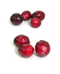 Moosbeeren