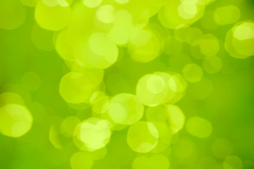 Obraz premium Green blurred abstract background or bokeh