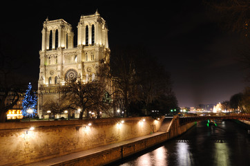 Fototapeta na wymiar Katedra Notre Dame i Seine - Paryż, Francja