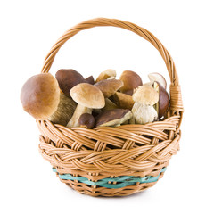 Mushrooms in a basket
