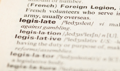 legislate def