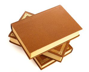 leather diary