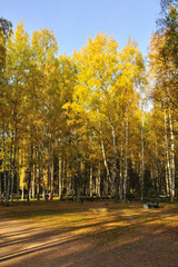 Осень в парке