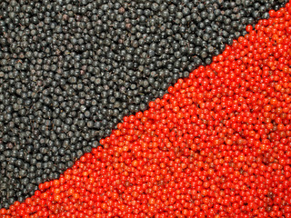 Background from black and red berries divided by a diagonal