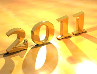 new year 2011
