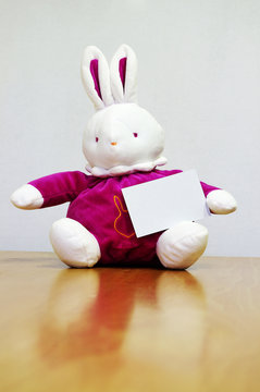 Rabbit with empty card