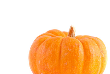 Obraz premium Pumpkin Background