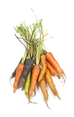 Carrots in different colors.