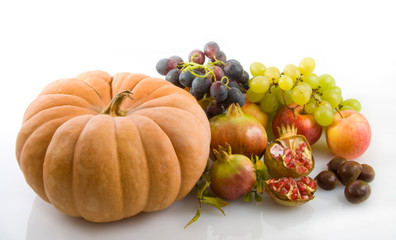 prodotti della terra d'autunno