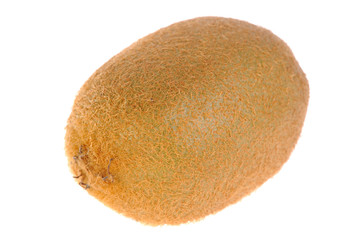 kiwi on white background