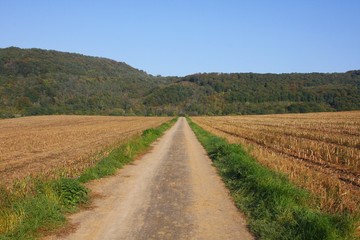 Fototapeta na wymiar A path through harvested fields