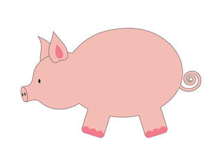 Vector illustration of funny pig