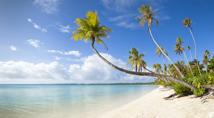 Tropical white sand beach and blue lagoon in French Polynesia