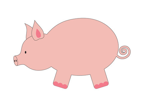 Vector illustration of funny pig