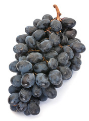 Grape fruit