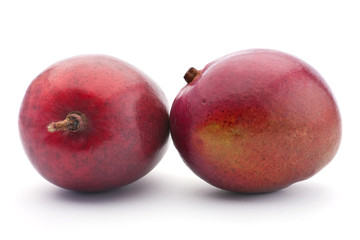 Tropical fruit mango