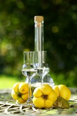 Quittenschnaps