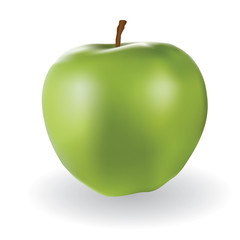 photorealistic vector green apple with white background