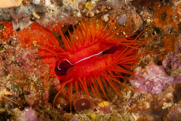 Vorsicht Hochspannung © deraugenzeuge