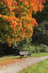 Early autumn in the park