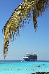 Palm Tree Branch and Cruise ship