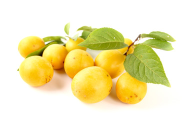 yellow  plums