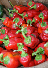Piments rouges