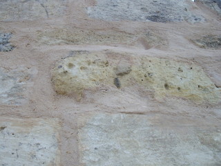 Gros plan sur un mur