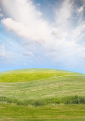 Obraz premium Landscape with green grass and clouds