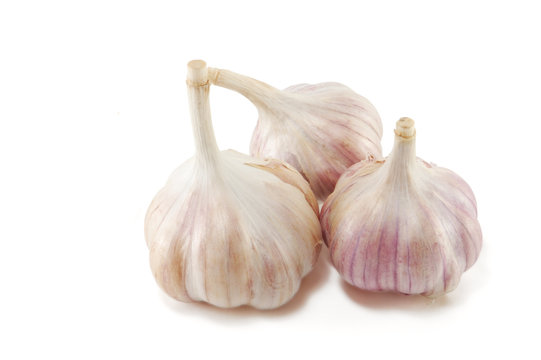 Photo of winter garlic
