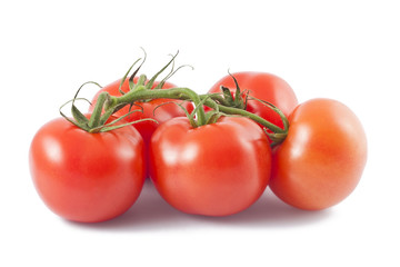 Tomatoes on branch