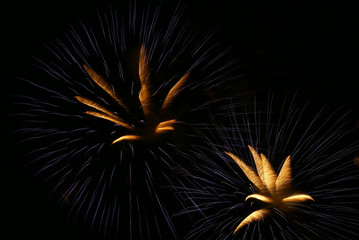 fireworks © arris_