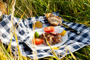 Grilled meat pieces with vegetables
