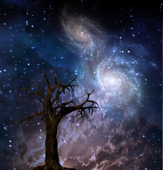 High Resolution Tree and Galaxies