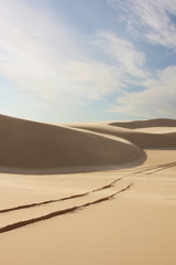 Fototapeta na wymiar Sand dunes with tyre tracks