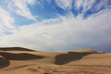 Fototapeta na wymiar Sand dunes on sunny day