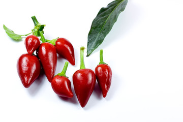red hot peppers