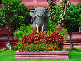 Phnom Penh cambogia elefante