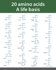 Amino acids