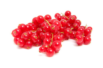 cluster red berries over white background