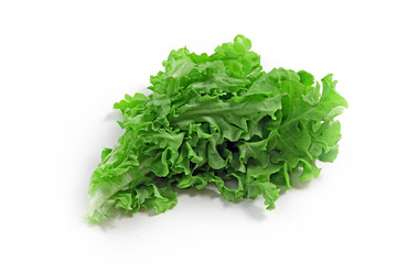 The green spinach