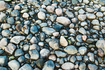 Stones on sea coast, a close up