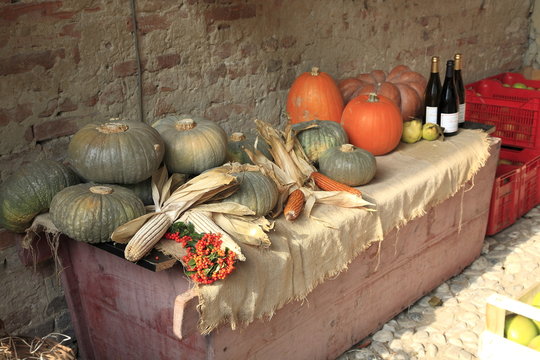 autunno zucche