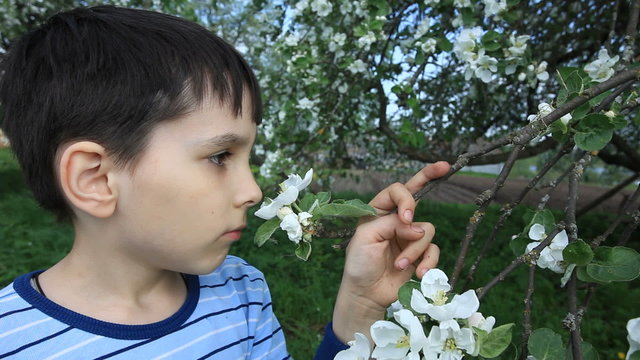boy smells flowers
