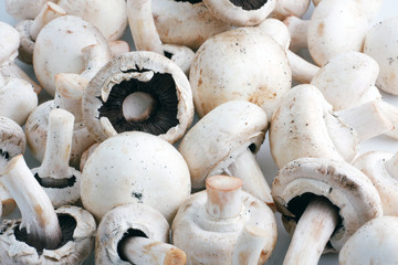 Mushrooms