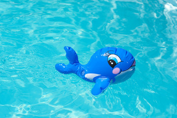 Toy in the swimming pool